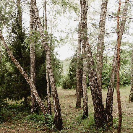 Berzu Namelis - Birch Cabin Kutsyuny Buitenkant foto