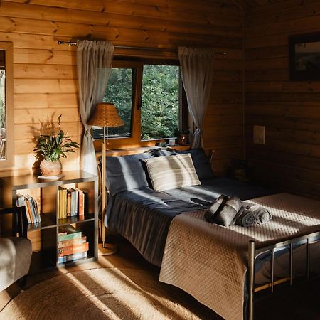 Berzu Namelis - Birch Cabin Kutsyuny Buitenkant foto