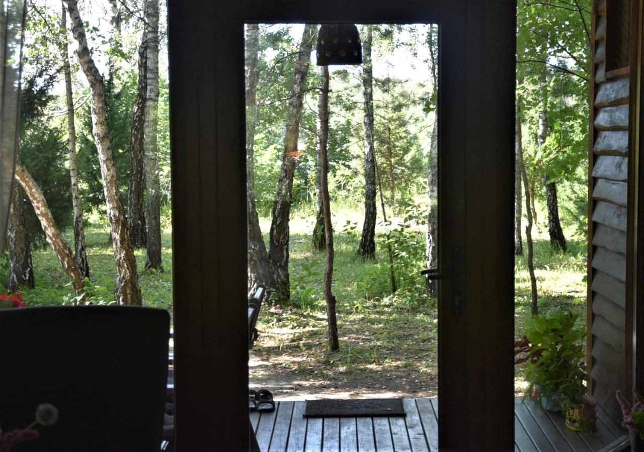 Berzu Namelis - Birch Cabin Kutsyuny Buitenkant foto