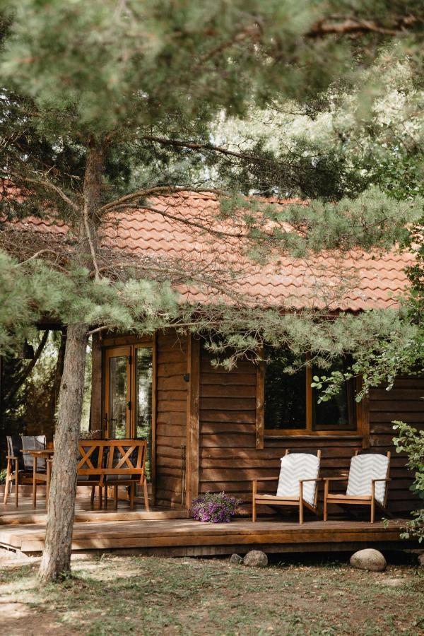 Berzu Namelis - Birch Cabin Kutsyuny Buitenkant foto