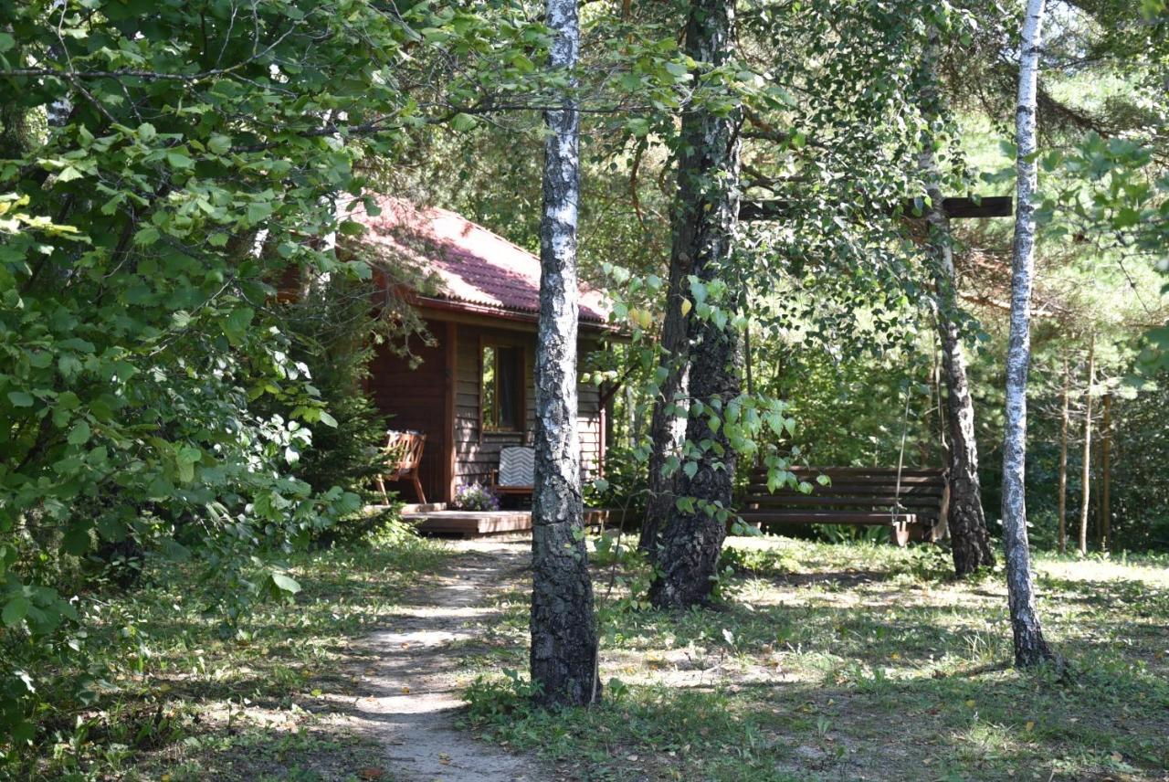 Berzu Namelis - Birch Cabin Kutsyuny Buitenkant foto
