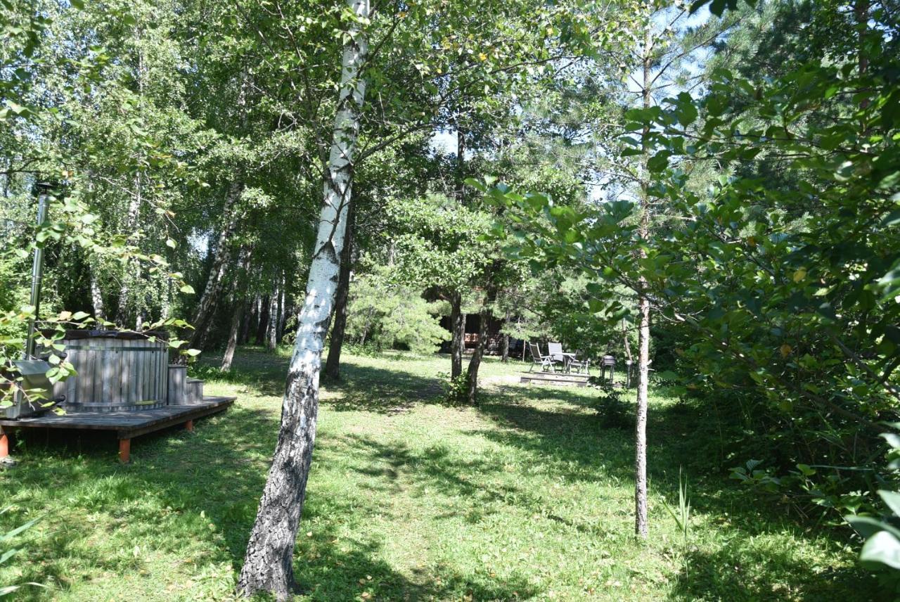 Berzu Namelis - Birch Cabin Kutsyuny Buitenkant foto