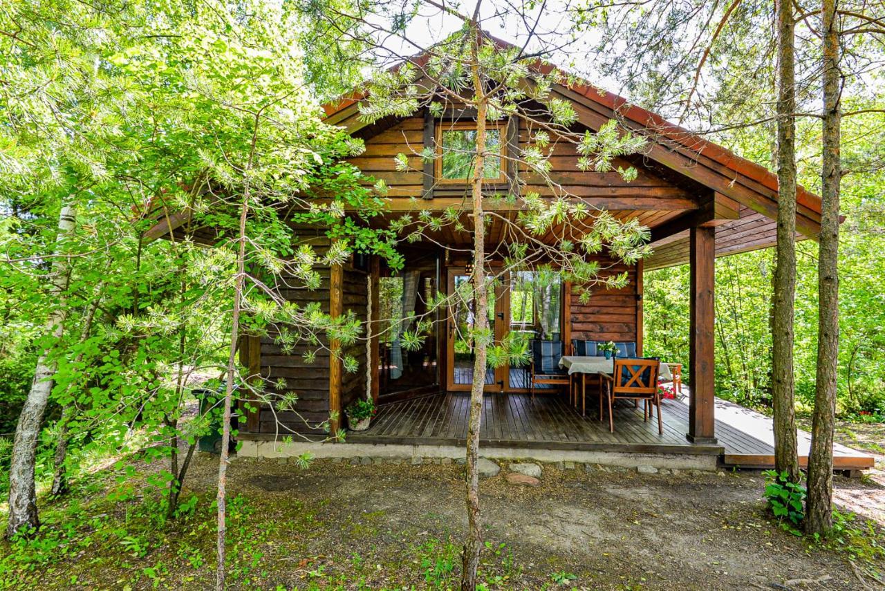 Berzu Namelis - Birch Cabin Kutsyuny Buitenkant foto