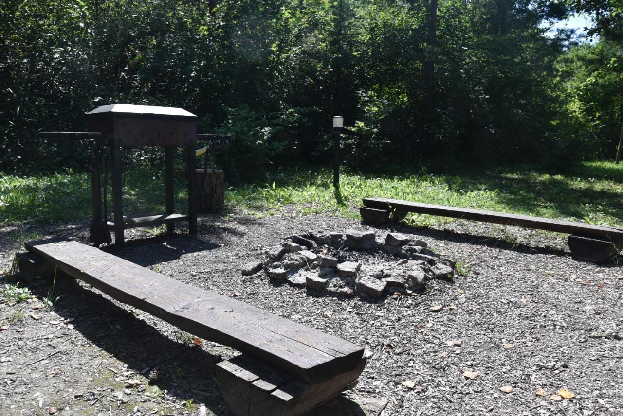 Berzu Namelis - Birch Cabin Kutsyuny Buitenkant foto