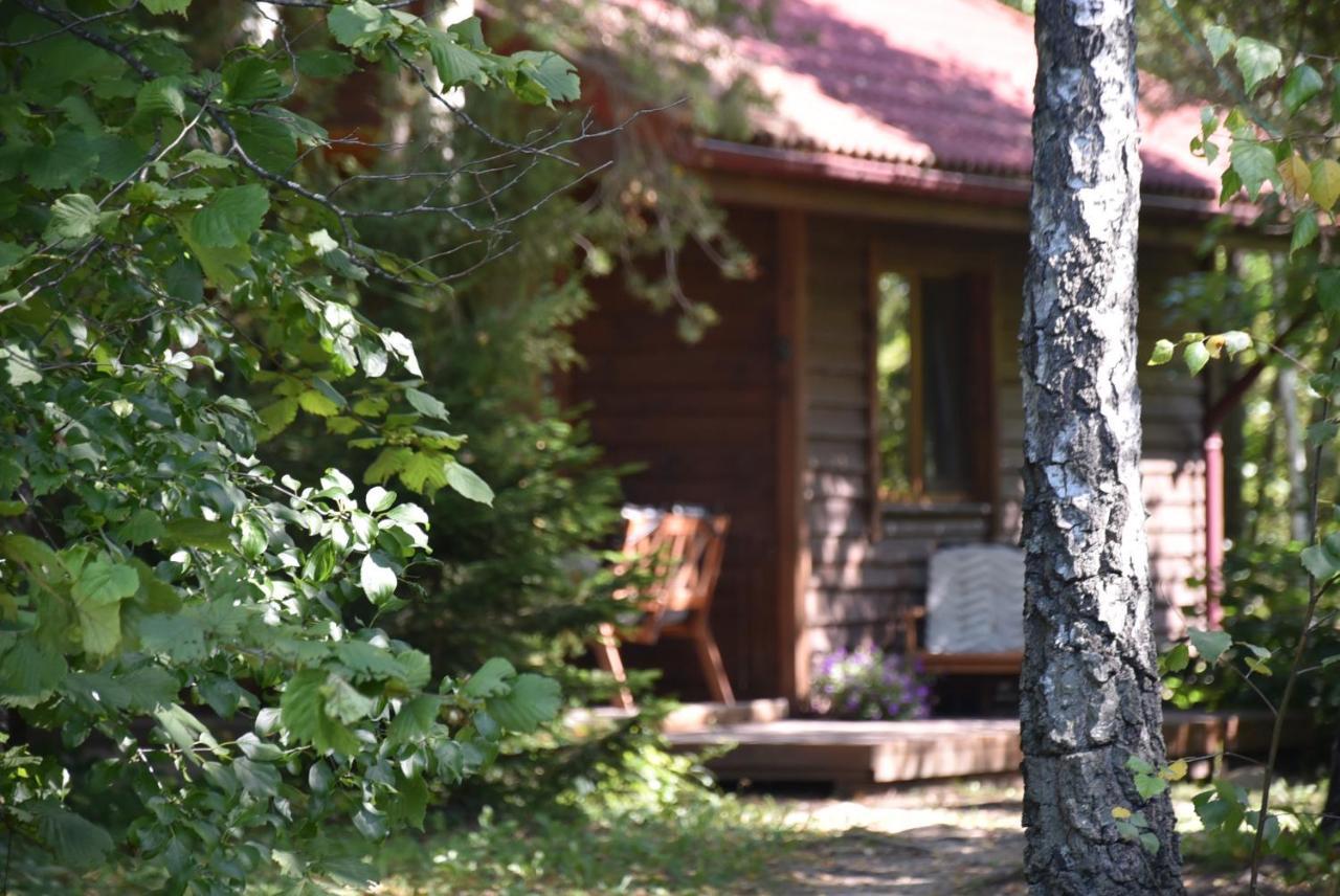 Berzu Namelis - Birch Cabin Kutsyuny Buitenkant foto