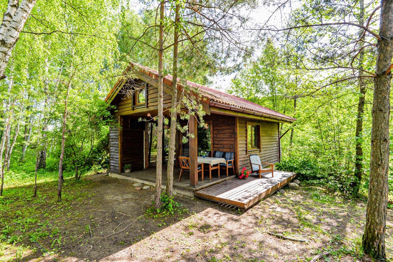 Berzu Namelis - Birch Cabin Kutsyuny Buitenkant foto