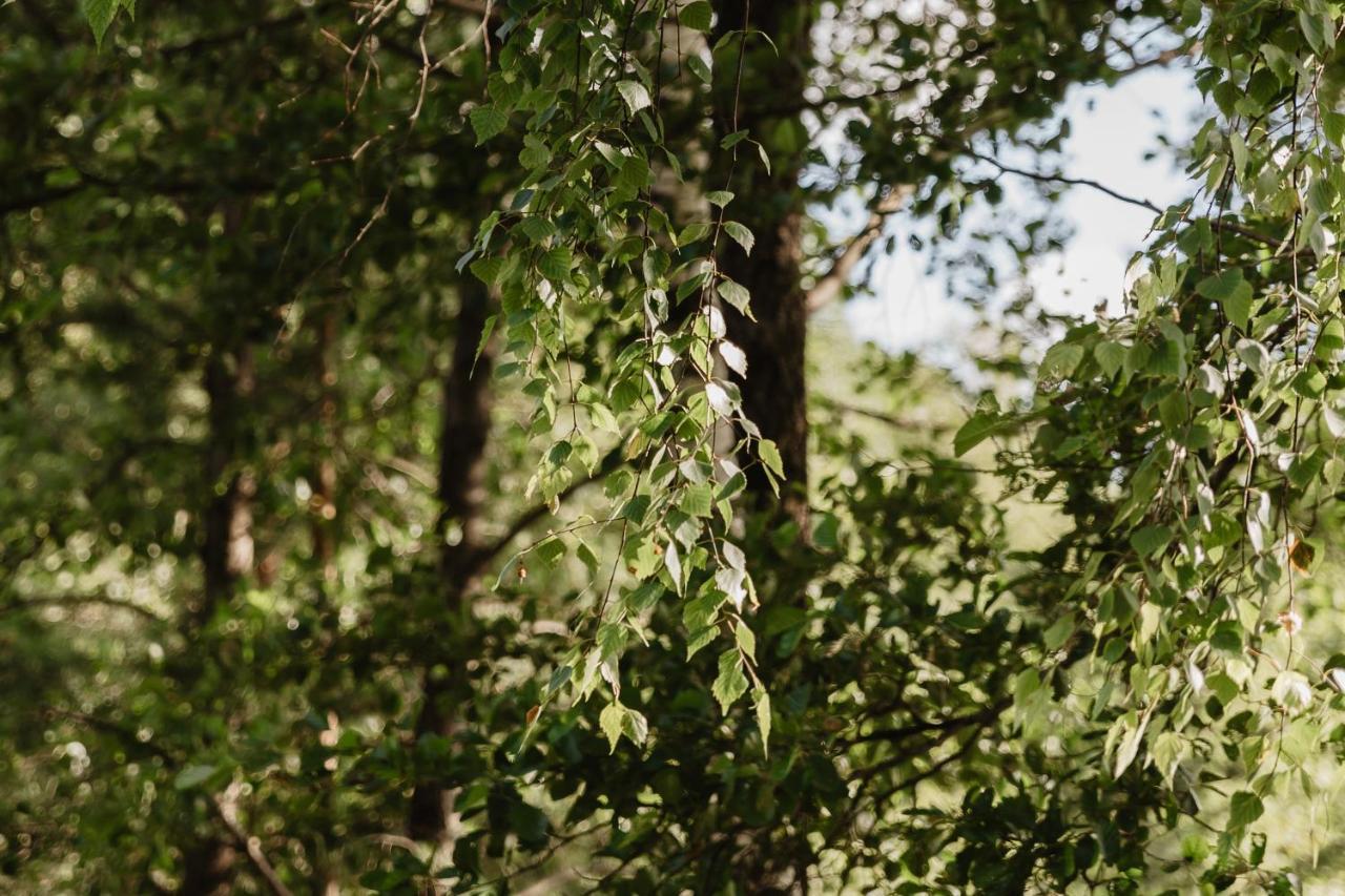 Berzu Namelis - Birch Cabin Kutsyuny Buitenkant foto
