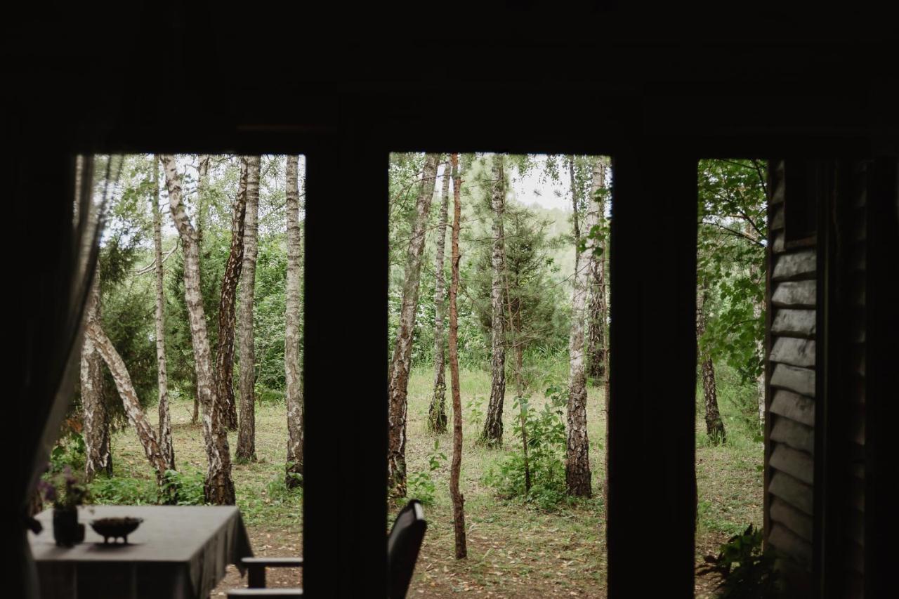 Berzu Namelis - Birch Cabin Kutsyuny Buitenkant foto
