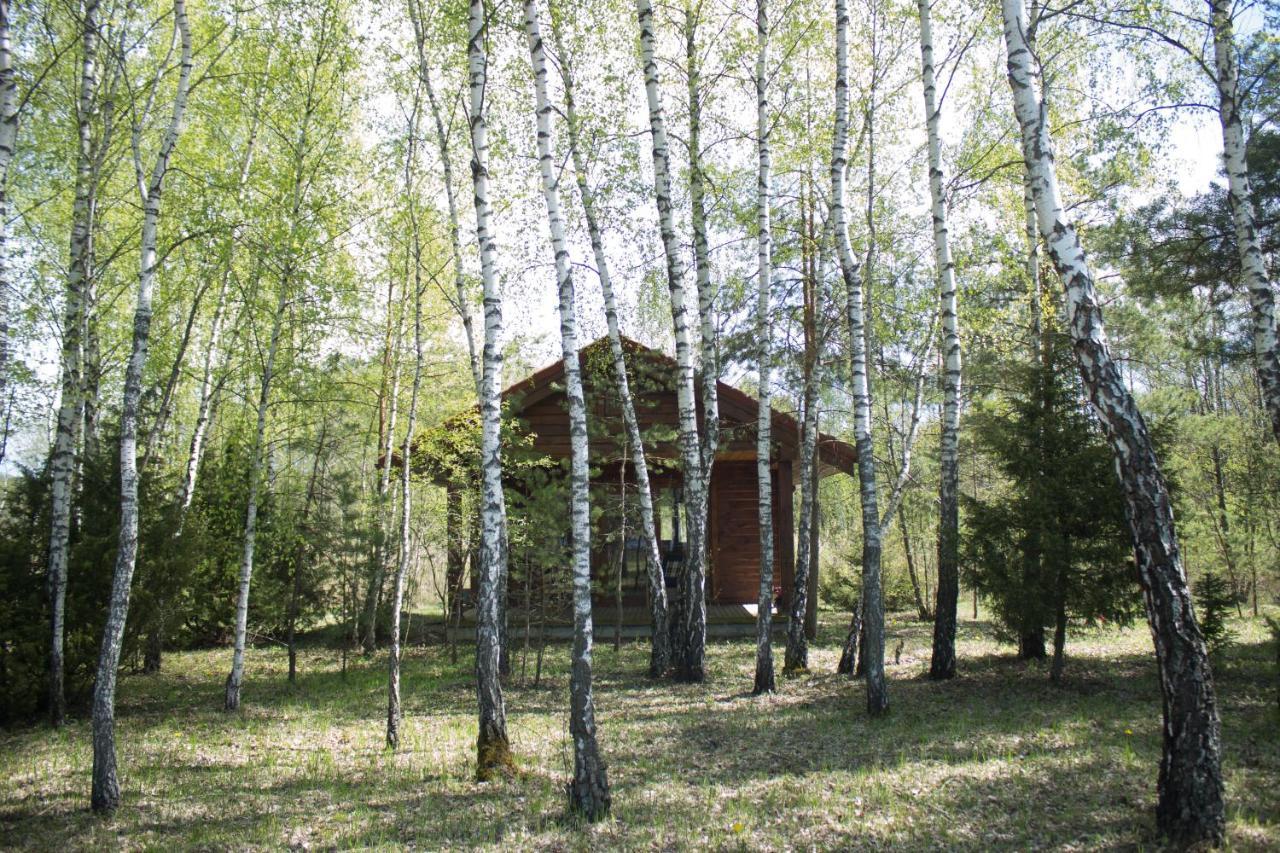 Berzu Namelis - Birch Cabin Kutsyuny Buitenkant foto